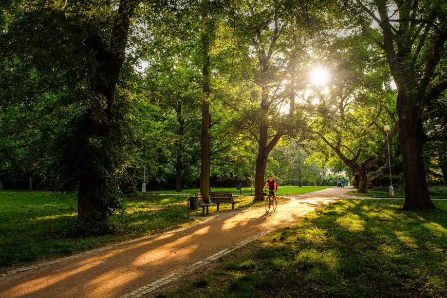 Největší městský park Lužánky.