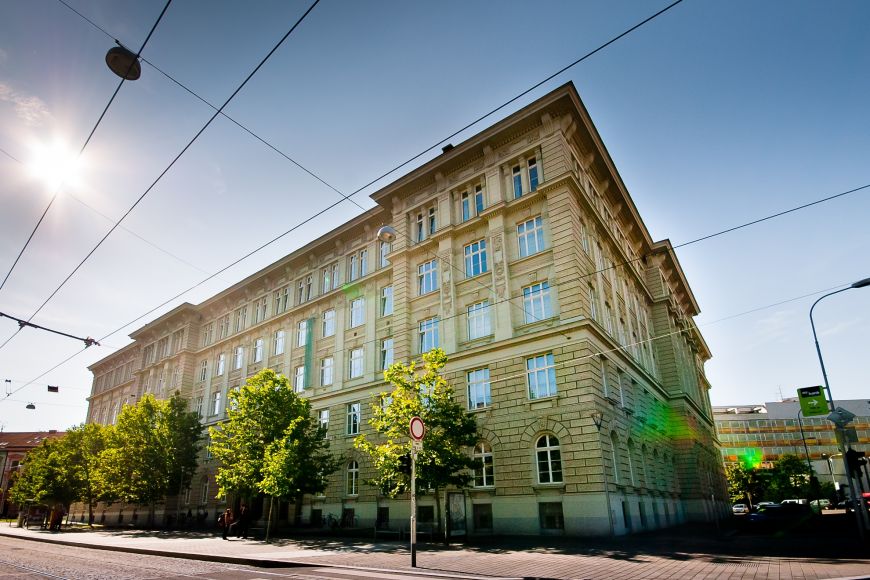 I study at the Faculty of Social Studies at Masaryk University.