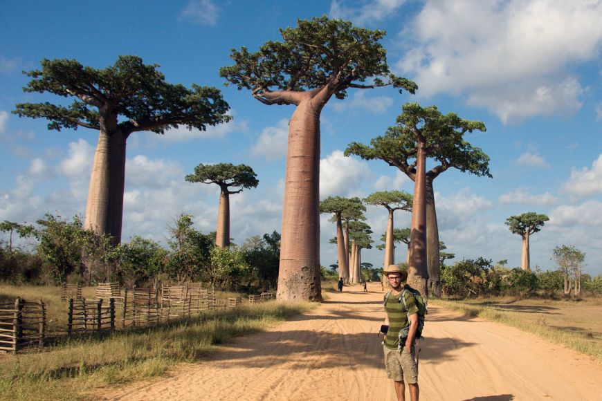 Madagascar is battling intensive deforestation and devastation of nature. 