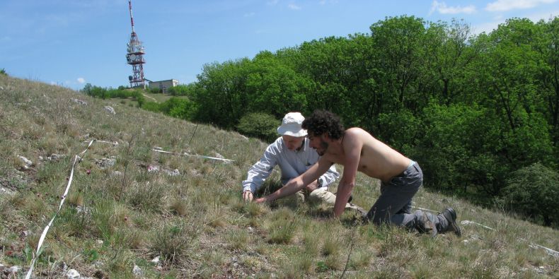 Zápis druhového složení rostlinného společenstva na trvalých plochách na Děvíně na Pálavě. Jiří Danihelka (vlevo) a Gianmaria Bonari (vpravo).