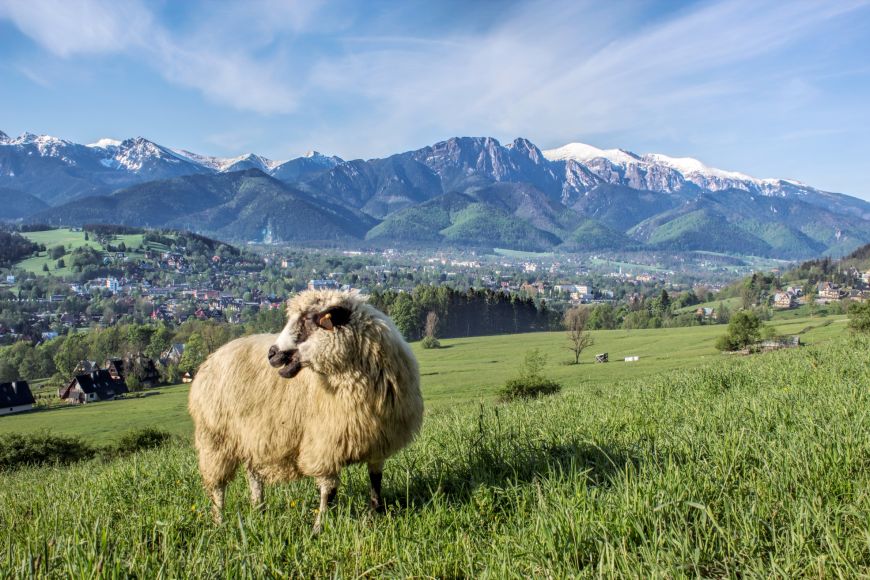 Tatra Mountains.