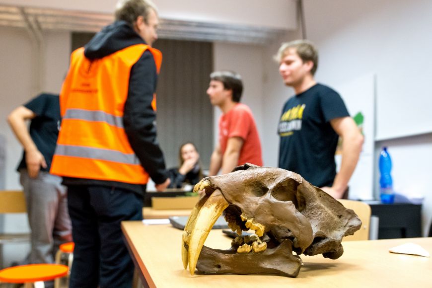 Návštěvníci pavilonu geologů si mohli osahat i kosterní pozůstatky pravěkých zvířat.