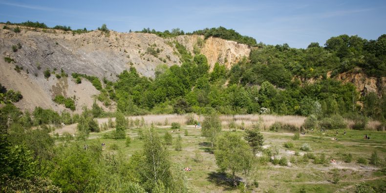 Přírodně nejcennější lokalita na Hádech Růženin lom byla před necitlivou rekultivací ochráněná.