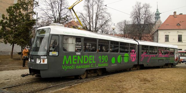 Grafické ztvárnění vozidla připravili studenti a absolventi Katedry výtvarné výchovy Pedagogické fakulty MU. Foto: Martin Kopáček.