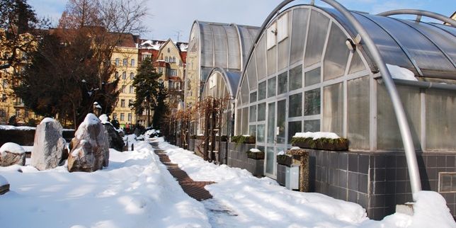 Na sněhu i bez sněhu, venku či vevnitř, aranž s kamarády i přirozené momentky. Jen jedna podmínka: Musí to být na některé z fakult MU. Foto: Martin Kopáček.