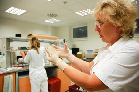 Laborantka v nové laboratoři v INBITU ukazuje bakteriofágy umístěné na tzv. plotnách. Foto: David Povolný.