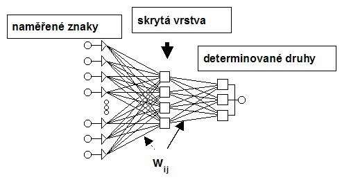 Schéma možné jednoduché architektury umělých neuronových síťí pro 3 druhy.